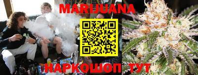 прущие грибы Краснодар