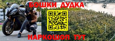 прущие грибы Краснодар