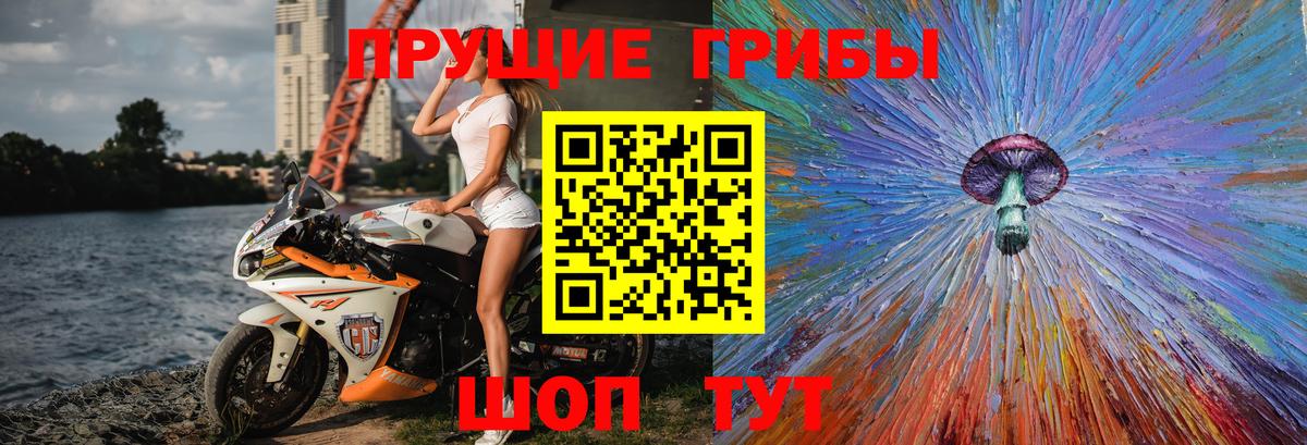 Галлюциногенные грибы Magic Shrooms  Псилоцибиновые грибы прущие грибы  Елабуга  Вход с VPN 