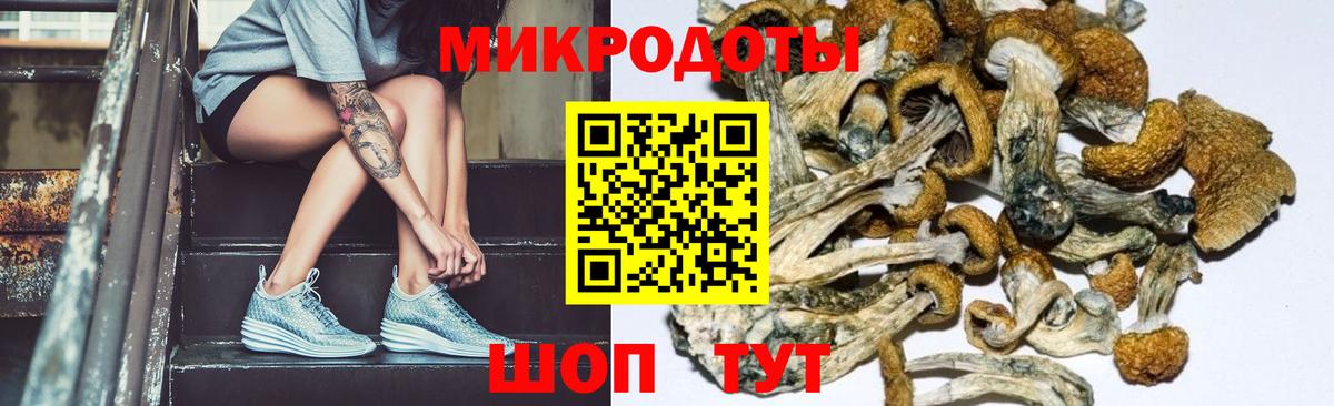 Псилоцибиновые грибы MAGIC MUSHROOMS Елабуга
